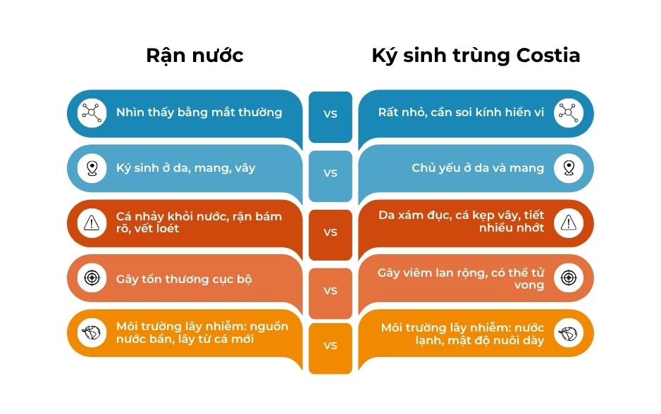 So sánh giữa rận nước và ký sinh trùng Costia